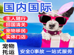 朔州航空物流国际宠物托运 【国